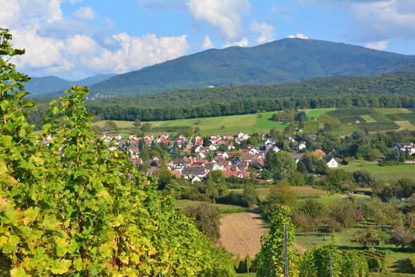 Wine capital in the heart of the Markgräflerland Image